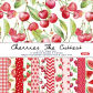 12pcs per style 1pc