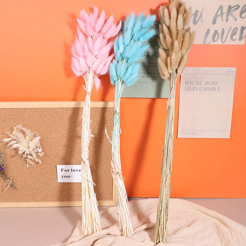 Description Picture 6 of item50pcs Nature Bunny Rabbit Tail Grass Dried Flower Bouquet Wedding Party Decor Fluffy Pampas Christmas Diy Floral Arrangement