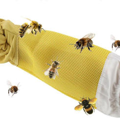 A Pair of Protective Beekeeping Gloves Net Goatskin Bee Keeping Vented Long Sleeves Beekeeping Equipment And Tools