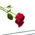 Slide image 88feebff9d5b40c5a95c93e495600c98