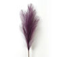Deep Purple