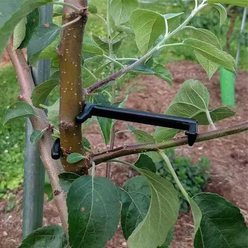 Description Picture 4 of itemFruit Tree Branch Puller Plant Vines Support Clips Twisting Shapers Twist Styling Bonsai Curved Elbow Garden Too