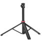 Light Stand