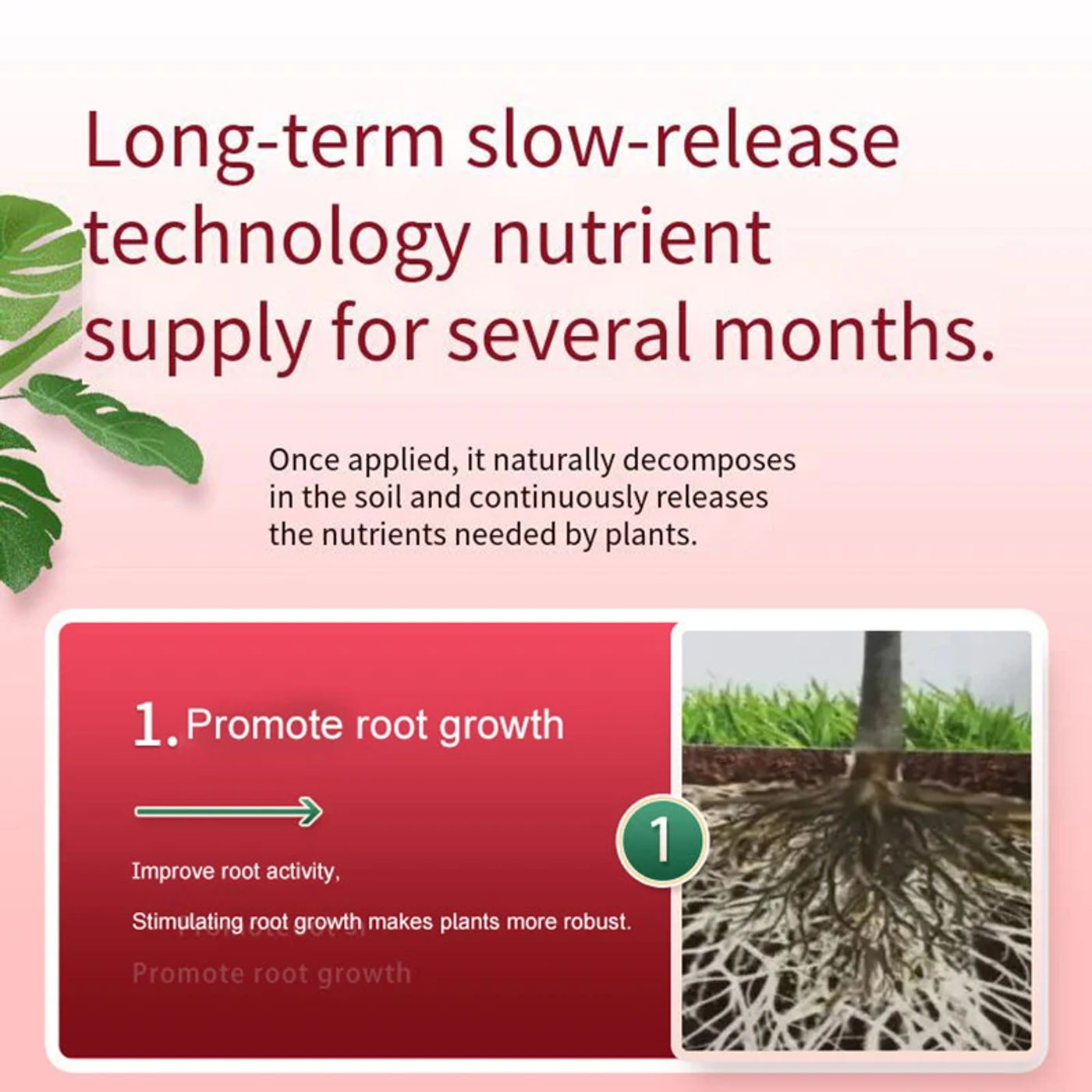 Description Picture 3 of item1Bottle Gardening Universal Slow-Release Tablet Organic Fertilizer Plant Nitrogen Phosphorus Potassium Slow Release Agent