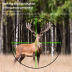 Slide image cd9d3748866a4c34982629e4143664f9