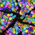 Slide image 70c97bb01b94416e92f15e6323eb83bb