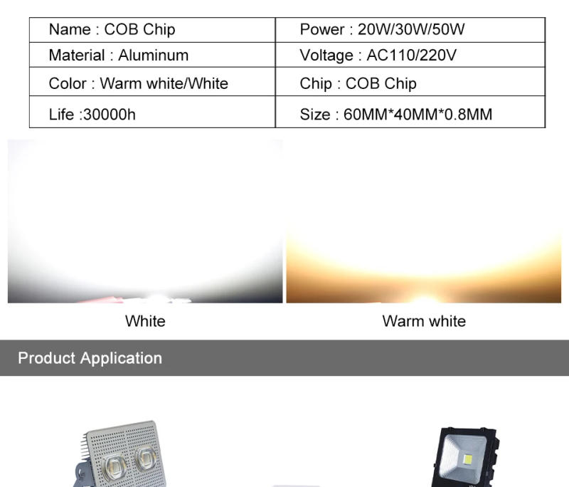 Description Picture 6 of itemLED chip COB Lamp Bead 20W 30W 50W AC 220V Smart IC No Need Driver Lampada outdoor chip light floodlight spotlight Diy Lighting