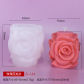 ZL-124 only mold