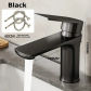 Black B