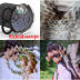 Slide image cffb6989d21e4e249db441dc80179ab1