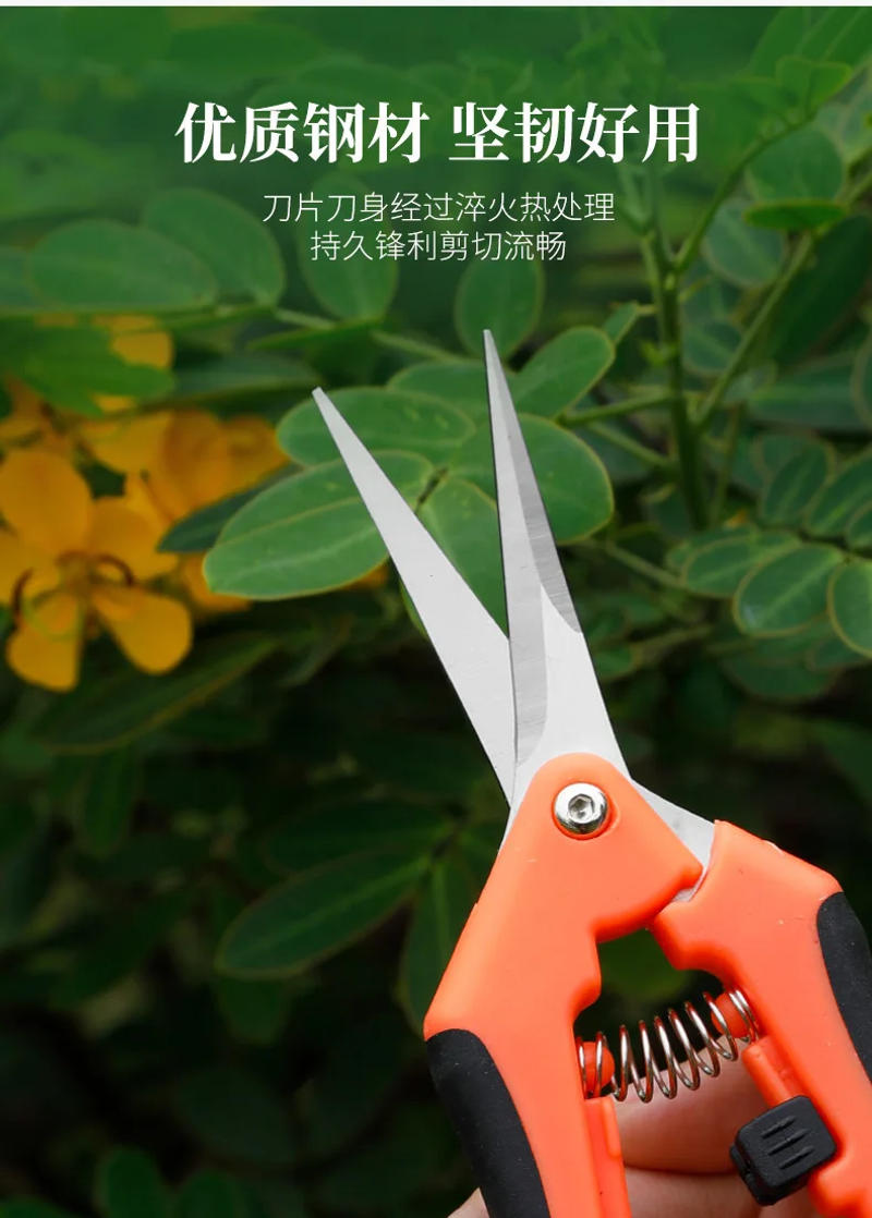 Description Picture 5 of itemGarden Tool Secateurs Bonsai Flower Shears Metal Gardening Scissor Pruning Tool Hand Cutter Fruit Picking Weed Household Potted