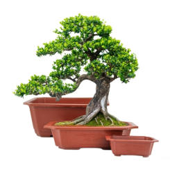 5PCS Rectangular Landscape Plant Pot Plastic Flowerpot Outdoor Garden Plants Potted Planters Flowerpot Bonsai Container