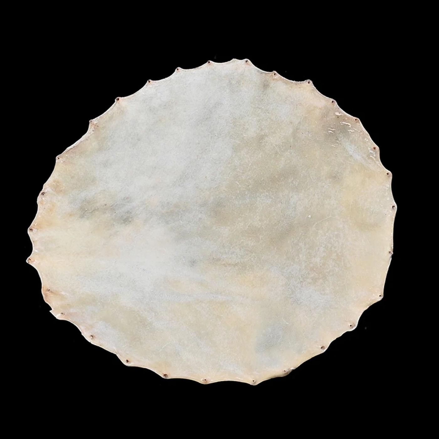 Slide d439a368aa2e43bbb6c9f2982d39e85f