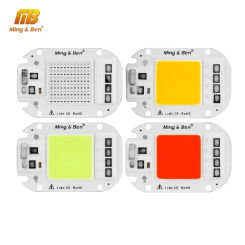 LED COB Lamp Chip Smart IC 20W 30W 50W AC 110V 220V LED Beads For DIY LED Grow Floodlight Bulb Accessories Spotlight Day White