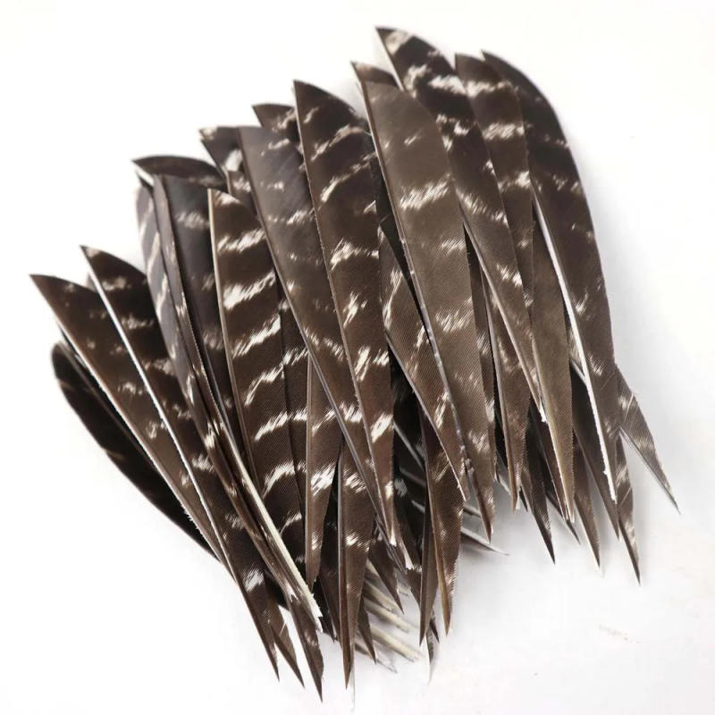 Description Picture 6 of item36pcs 4inch and 5inch Arrow Feather Turkey Feather Arrow Vanes For Arrow DIY Fletching Feather Arrow Accessory RW
