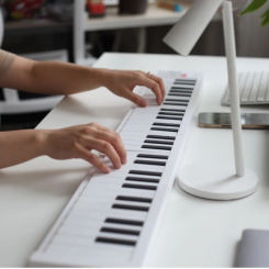 Portable Foldable Electronic Organ 61-key Toy Piano Keyboard Musical Instrument Children's Exercise Professional Piano Quality