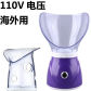 110V purple
