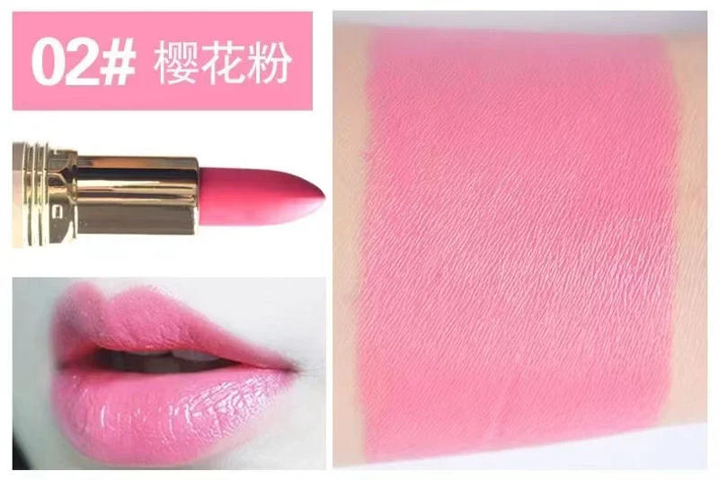 Description Picture 6 of itemMatte Lipstick 24 hour Long Lasting Waterproof Velvet Lipstick Pink Red Lipsticks Resistant Rose Lip Tint Cosmetic Women Makeup