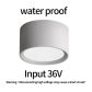 White 12W(Input36V)