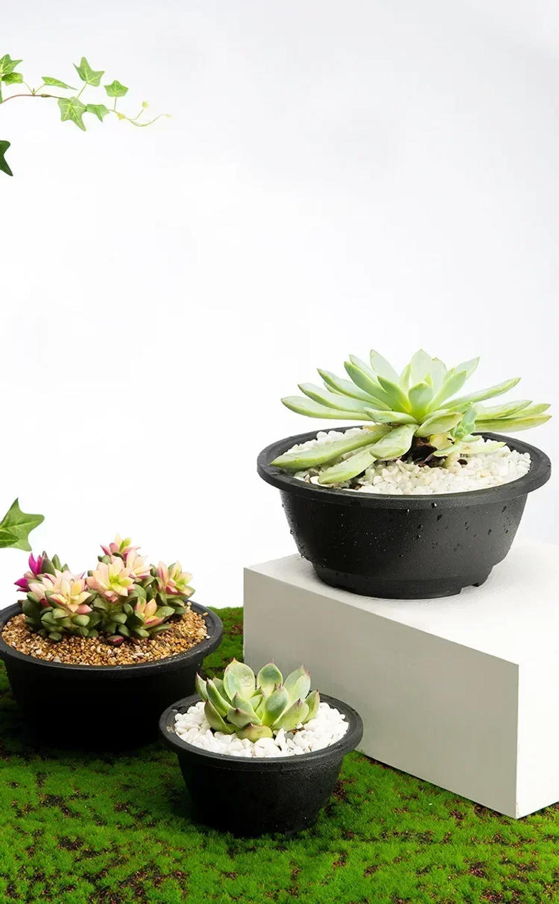 Description Picture 5 of itemLarge New Succulent Plant Pot Plastic Round Succulent Plant Pot Low Pot