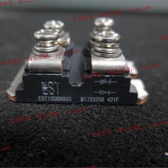 EST100BN60S  IGBT power module