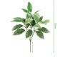 Rosemary leaf2