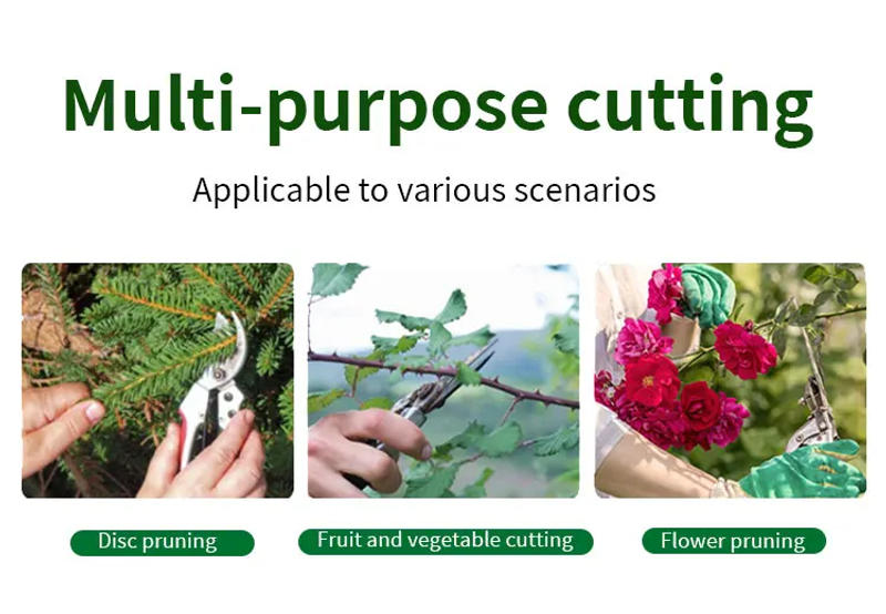 Description Picture 3 of itemStainless Steel Grafting Tool Gardening Pruning Shear Scissor Branch Tool Shear Gardening Fruit Tree Pruning Shears