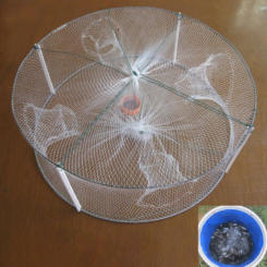 1pcs Foldable Fishing Shrimp Fish Crab Bait Net Trap 4 Holes Crayfish Lobster Fishnet Cast Dip Cage 33*12cm