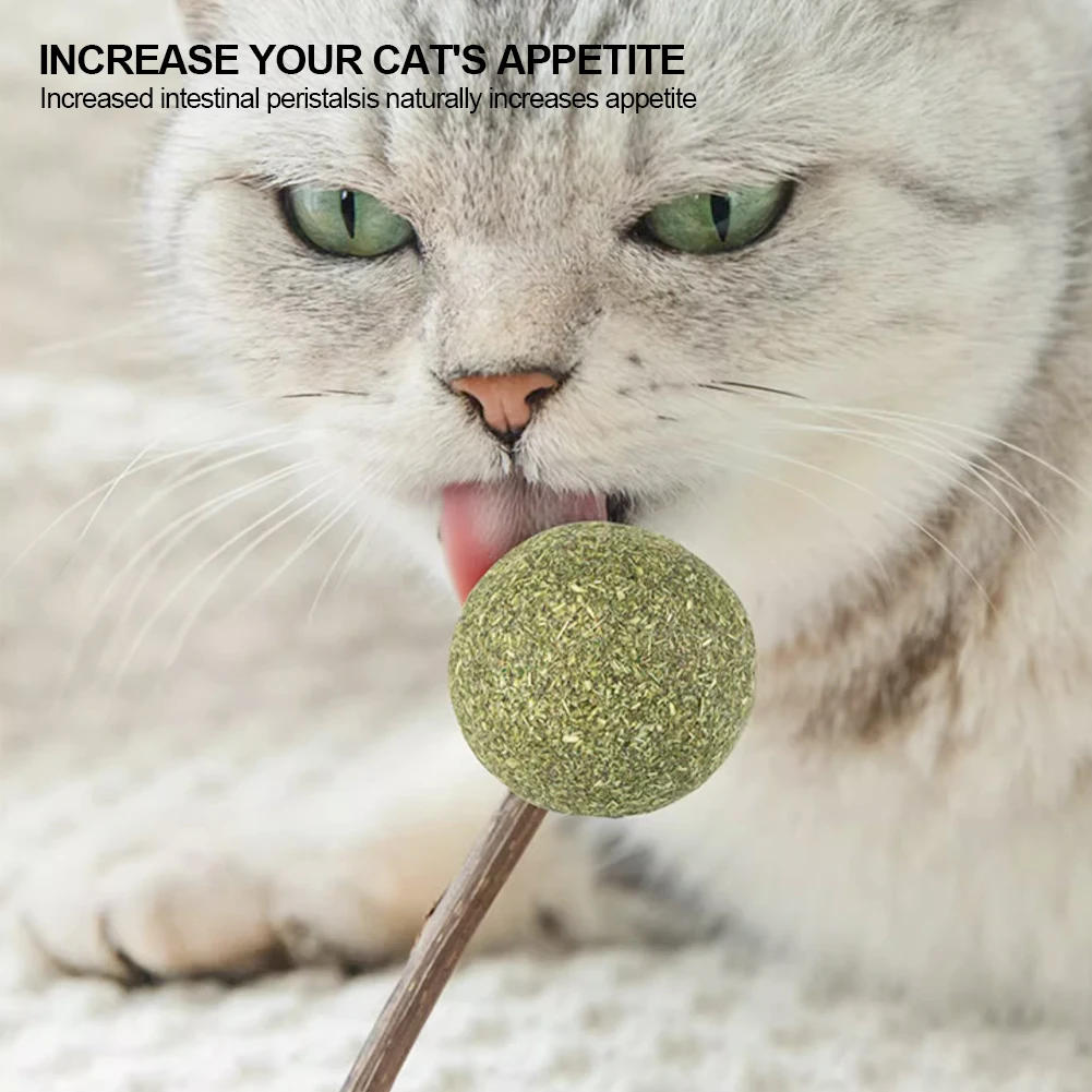 Description Picture 6 of itemCute Shape Freshen Catnip Ball Toy Cat Licking Playing Snacks Cat Mint Breath Mint Lollipop Toy Cat Supplies Pet Digesting Tool
