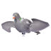 Slide image be5deaf524bd4d5ba38dc79ebe39cdfd