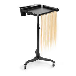 Rolling Beauty Salon Trolley Tool Barber Tattoo Hair Salon Trolley Spa Beauty Make Up Wozek Narzedziowy Salon Furniture WKST