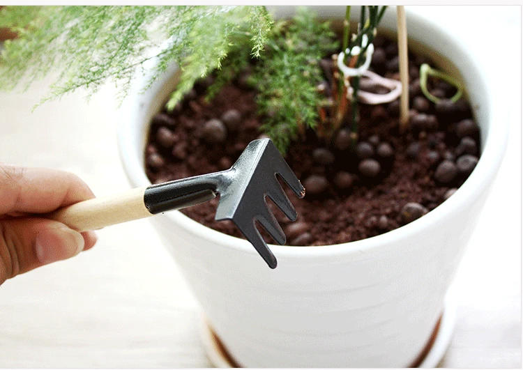 Description Picture 4 of item3pcs Set Mini Gardening Potting Tools Wooden Handle Shovel Rake Shovel Multifunctional Household Plant Bonsai Tools