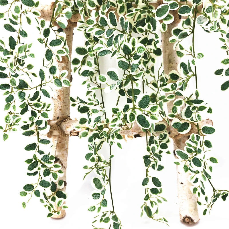Description Picture 6 of item1pcs 80cm Mini Artificial Green Plants Hanging Ivy Leaves Rose Leaf Vine Hanging DIY Home Garden Wall Party Wedding Decoration