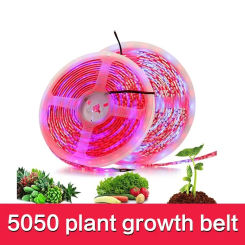 LED Grow Light Full Spectrum LED Strip Plant Lamp 5m Growing Light 12V Phyto Lamp Growth Greenhouse Hydroponic Lighting SMD 5050