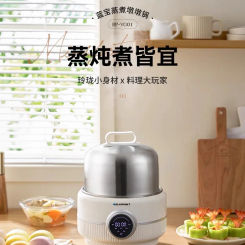 220V Blaupunkt Multifunctional Stainless Steel Electric Food Steamer for Home Cooking Stewing and Steaming