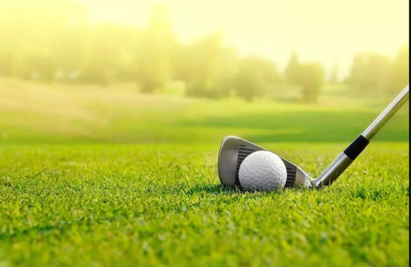 Description Picture 2 of item1Pcs Golf Shaft Adapter Aluminium Alloy Tip Adapter Sleeve fit Accessory For M3 M4 M5 M6 Taylormade Driver Fairway Wood SIM