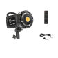1pcs 100W Lamp