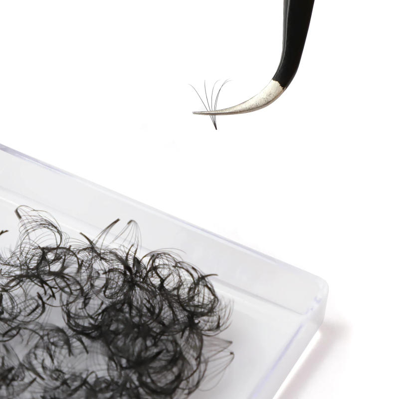 Description Picture 6 of itemTDANCE Loose Fan Lashes 500 Fans Pointy Base Eyelash Extensions 5D 6D 8D 10D Premade Medium Stem Sharp Thin Russian Volume Lash