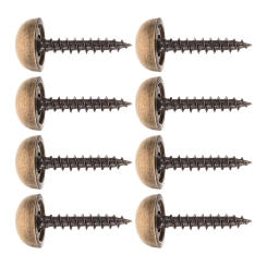 Mirror Screws Brass Screws Decorative Screws With Caps Screws Crafts Wall Hanging Fastener Nails 15mm