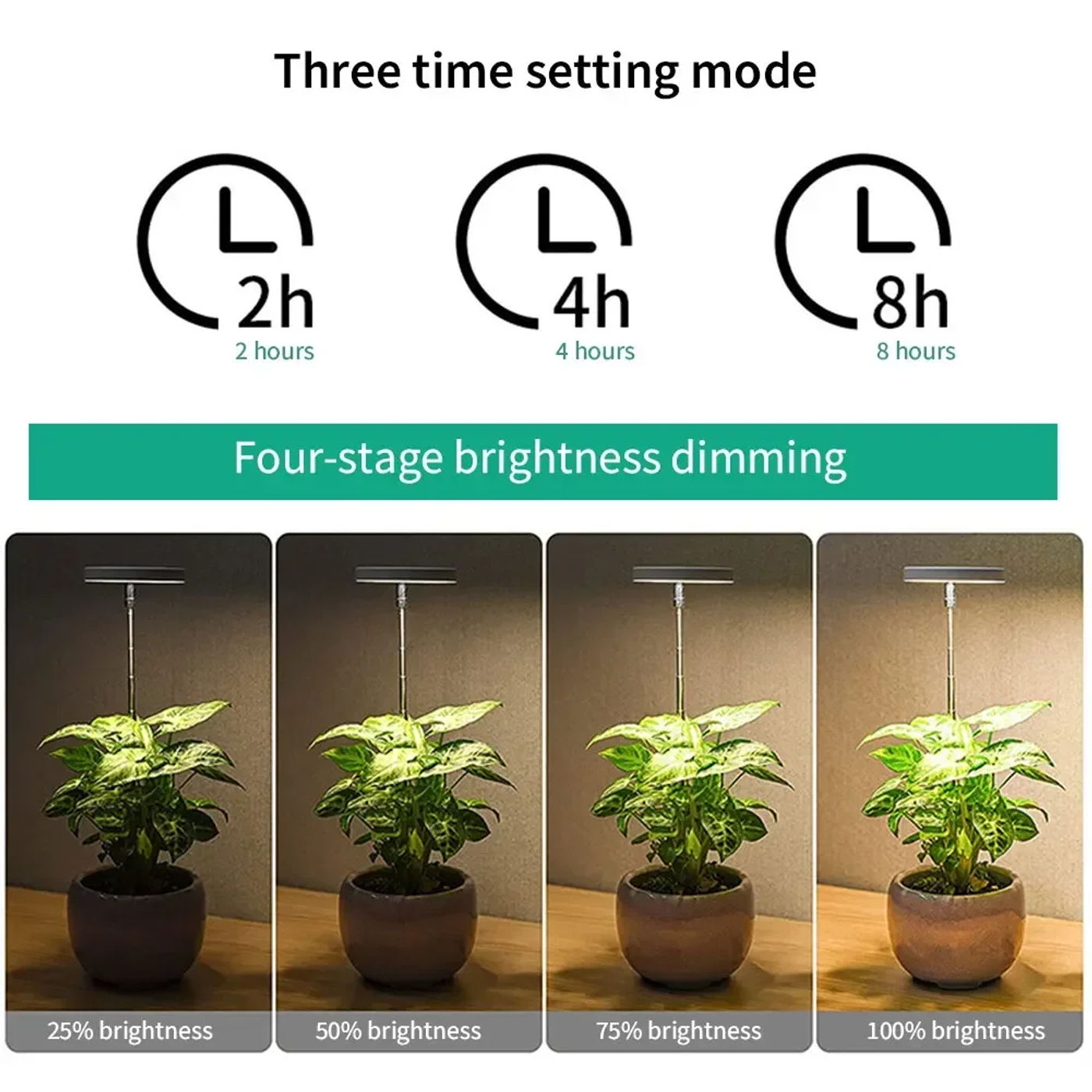 Description Picture 4 of itemLED Indoor Angel Ring Plant Growth Light 2/4/8H On/Off Timer USB 5V Retractable Height Full Spectrum Simulated Sunlight Plant