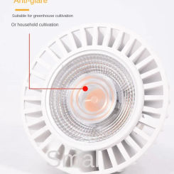 Full Spectrum Indoor Grow Light, Plant Lamp, Growth Bulb, Phyto for Succulent Flowers Seeds, Bonsai Cultivated, E27