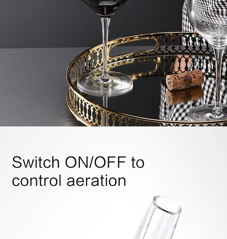 Description Picture 3 of item1/2 Pcs Stainless Steel Wine Decanter Fast Decanter Mini Wine Filter Air Intake Bottle Pourer Aerator for Home Bar Wine Decanter