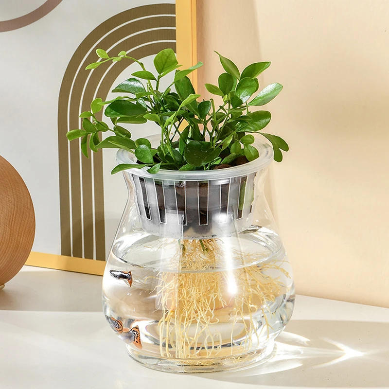 Description Picture 6 of itemMini Hydroponic Flower Pot Fish Tank Transparent Plastic Soilless Plant Pots Self Watering Planter Pot Vase Home Decoration