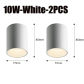 10W-White-2PCS