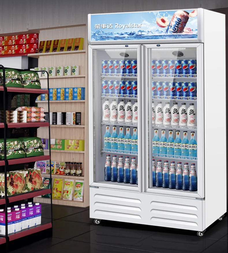 Description Picture 2 of itemDisplay Cabinet Single and Double Door Refrigerated Fresh Cabinet Refrigerator Commercial Freezer Air Cooling Frostless Vertical