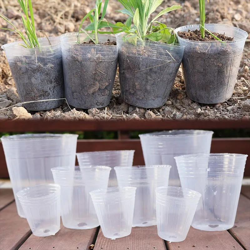 Description Picture 5 of item10/50pcs Transparent Nursery Pots with Drainage Hole Seed Starting Pot Flower Plant Container Gardening Planting Nutrition Cups