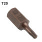 T20