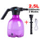 2.5L Purple Set