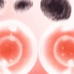 Description Picture 3 of itemWhitening Freckles Face Cream Removal Melasma Dark Spots Corrector Lighten Melanin Pigmentation Brighten Anti-Aging Beauty Care