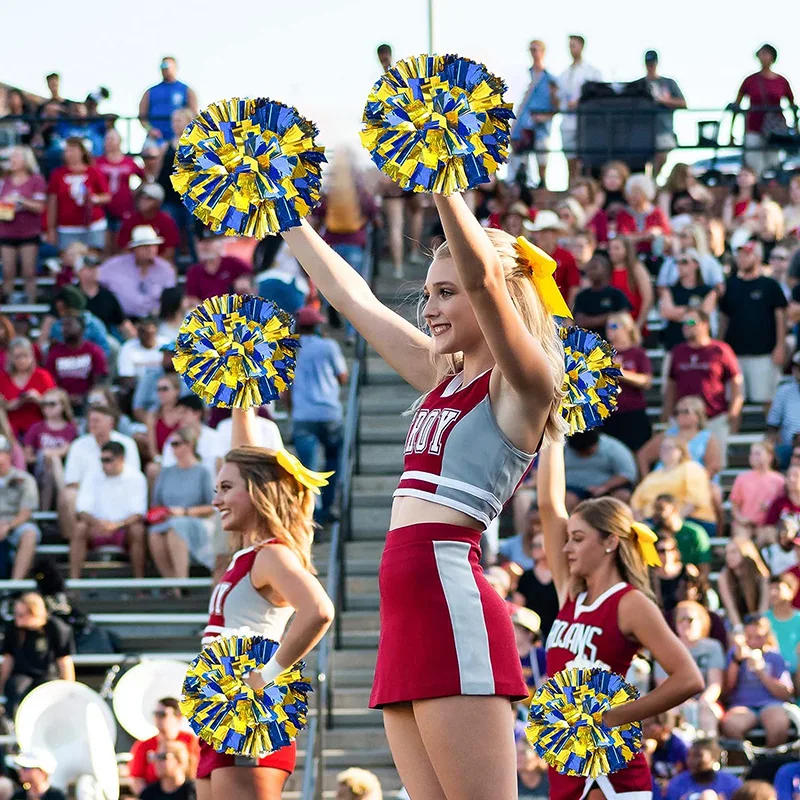 Description Picture 5 of item10PCS Cheerleader Pom Poms 31cm Cheerleading Pompoms Handle Style Team Sports Pompom Girls Game Big Match Cheering Hand Flower
